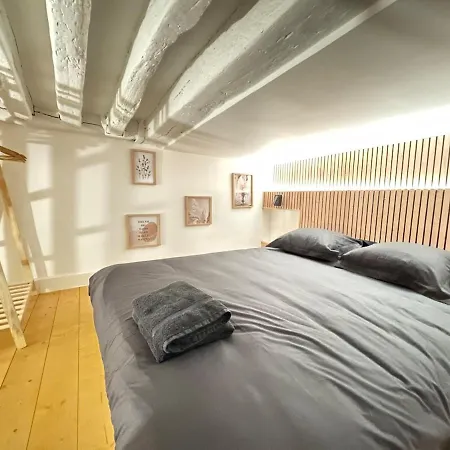 Impressionnists In Le Marais - Sauna & Ac Appartement